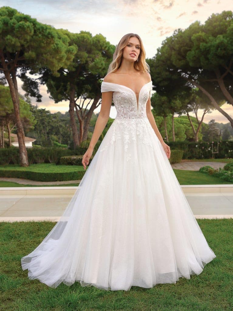 Carlos Eugenio Bride