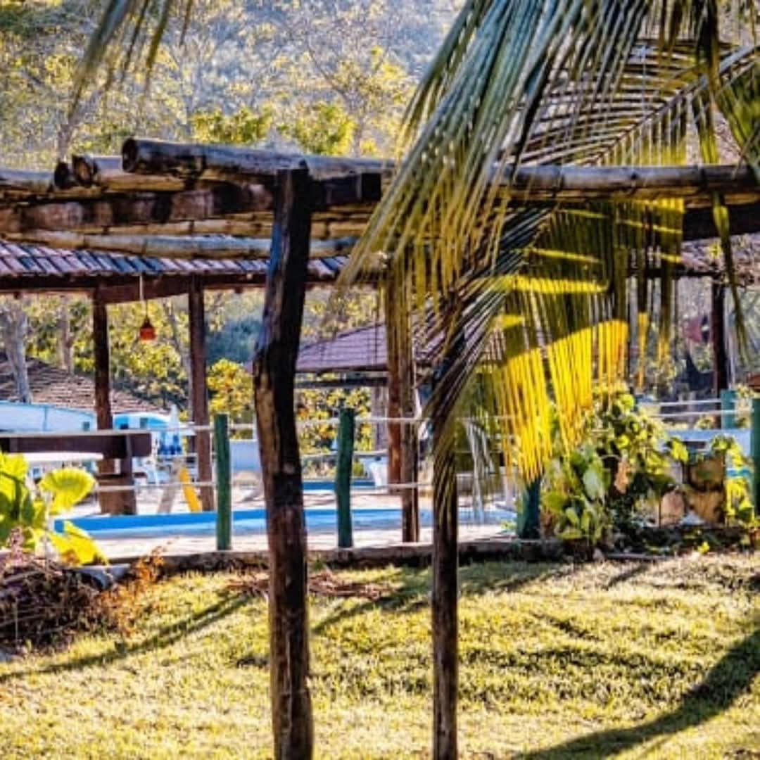 Ecoviver Brasil 