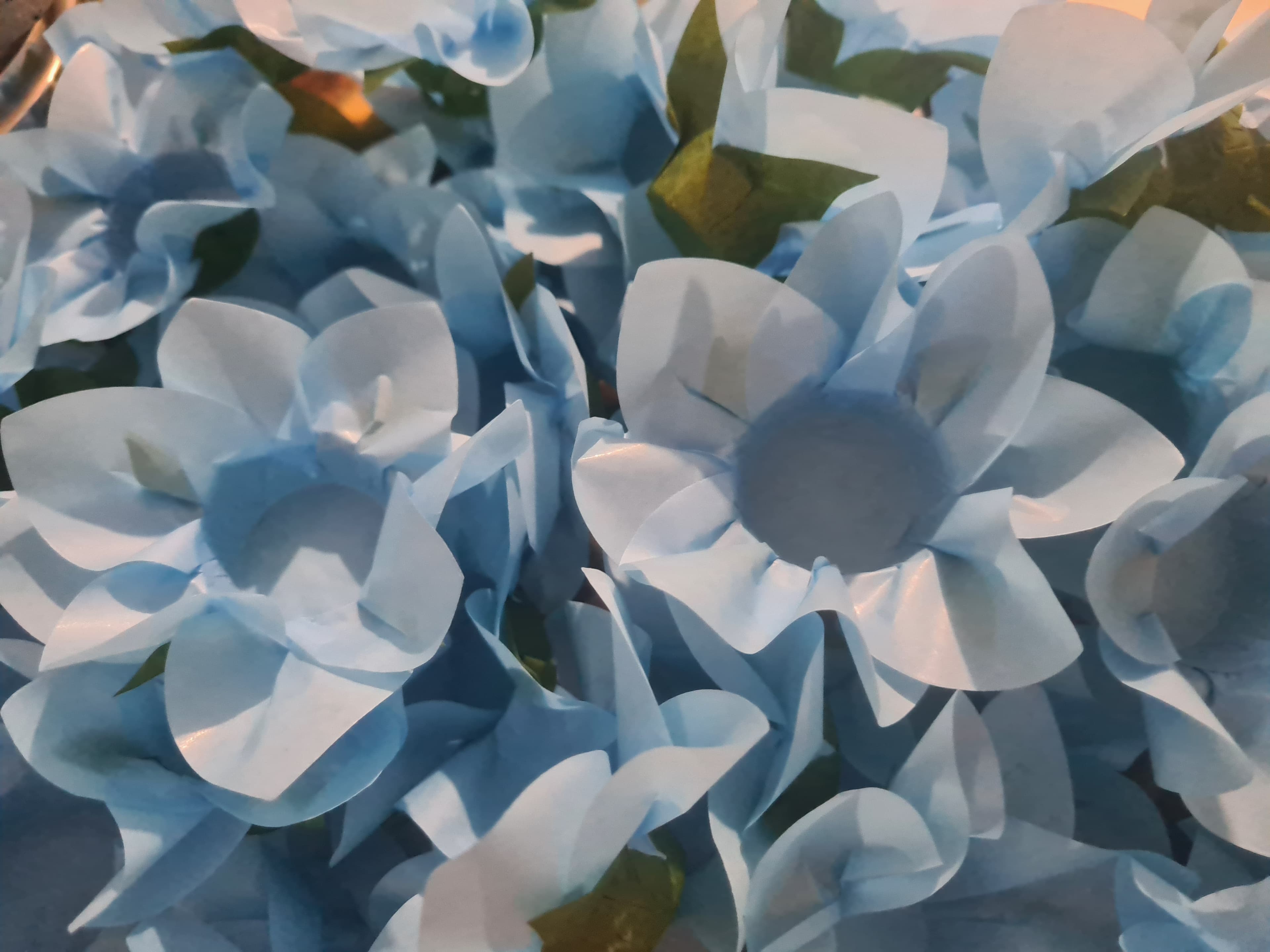 Arte em Flor Forminhas