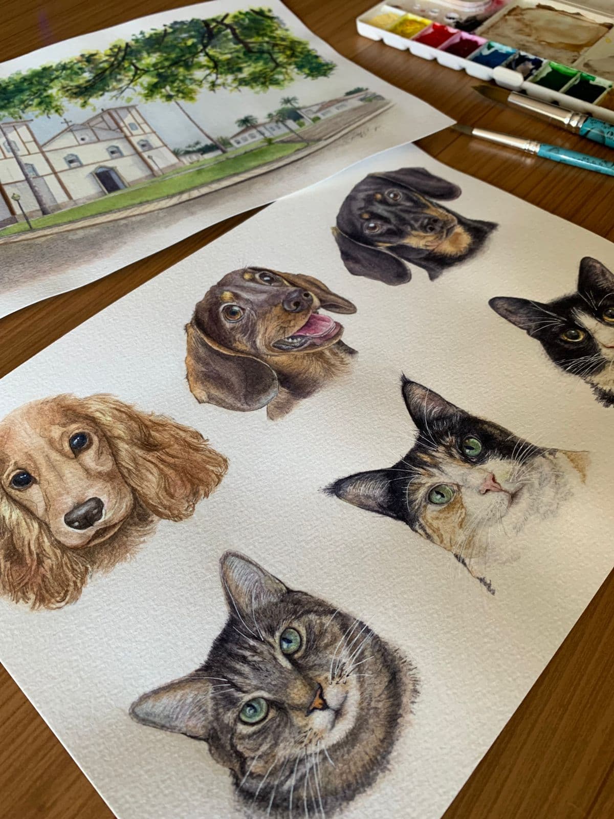 Pollyanna Menezes Aquarela
