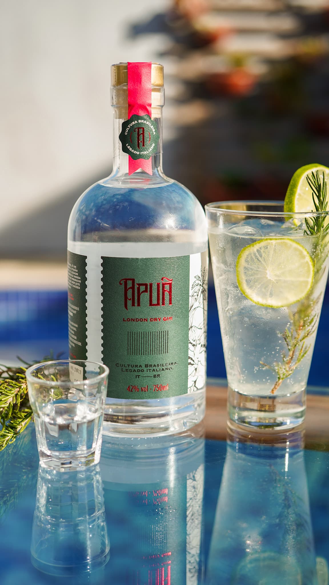 Apuã Gin